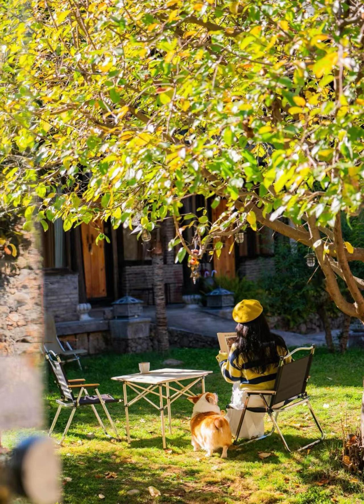 Adonis Inn Lijiang Li-ťiang Exteriér fotografie